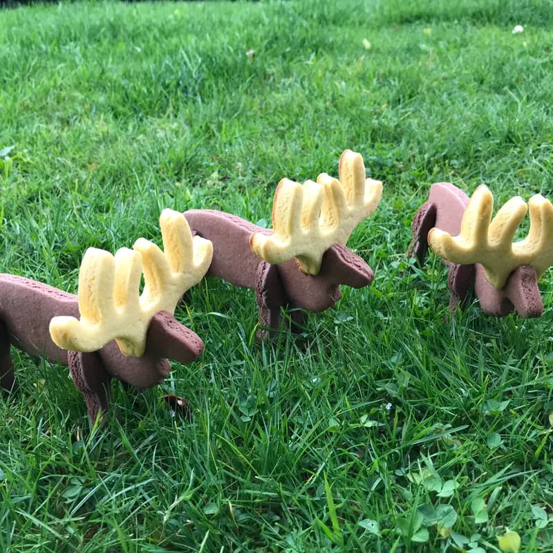 Besserli – dreidimensionale Weihnachts-Guetzli